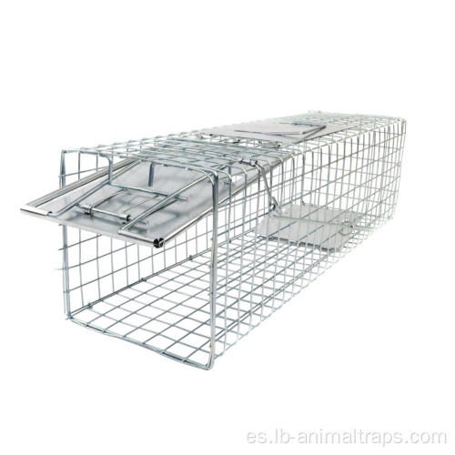 Trapes de jaula de animales vivos de Liebang Metal para conejos